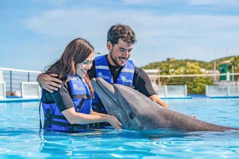 Cabo San Lucas: Dolphin Swim Class with Marine Specialist - Is $169 a Fair Price?