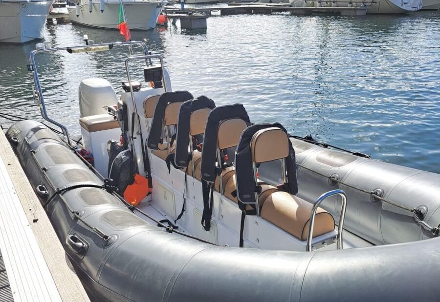 Calheta: Whale & dolphin watching small groups designer tour - Key points at a glance