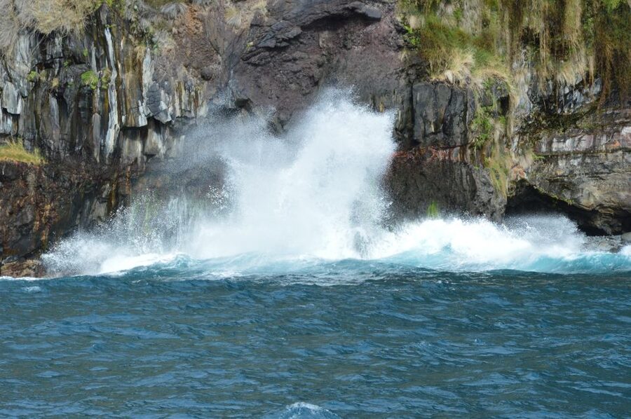 Calheta: Whale & dolphin watching small groups designer tour - Looking for whales, dolphins, and other marine life