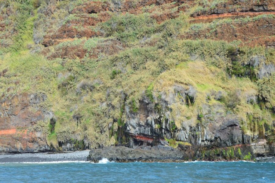 Calheta: Whale & dolphin watching small groups designer tour - What the $342 private price really buys