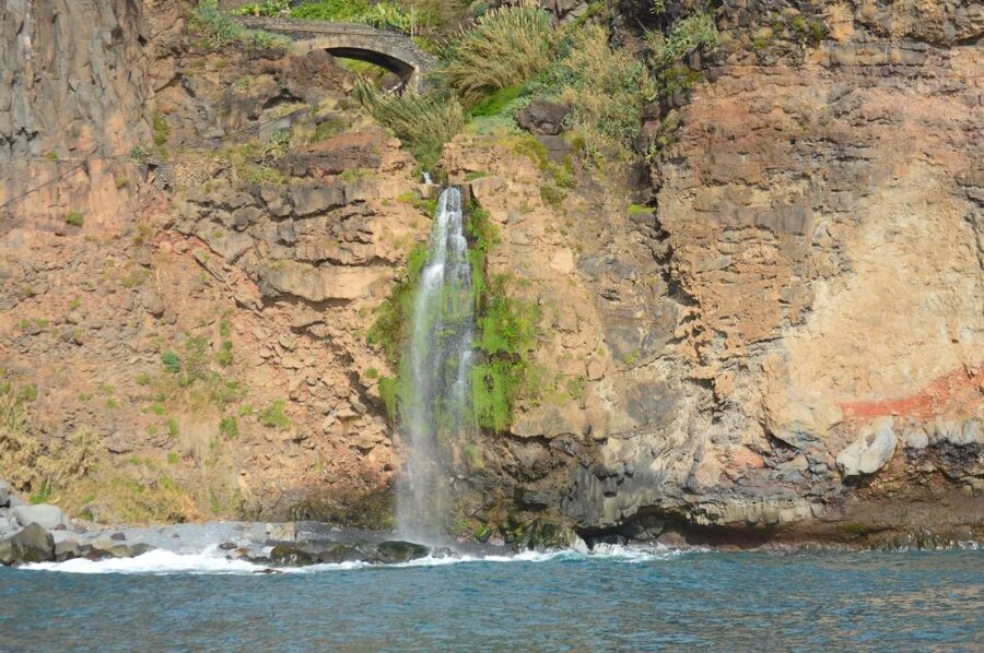 Calheta: Whale & dolphin watching small groups designer tour - My take: should you book it?