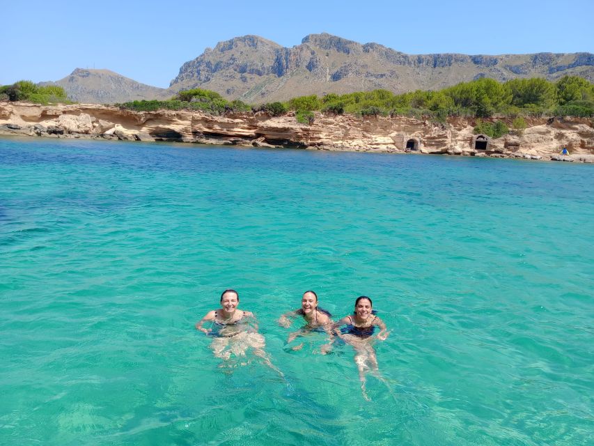 Can Picafort: Dolphin Watching Boat Tour, Swimming stop - The best reasons to book, and the main caution