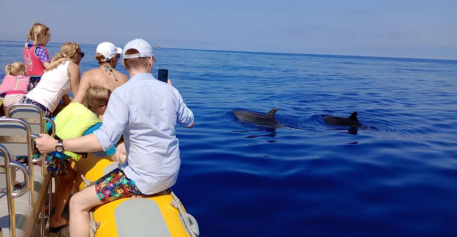 Can Picafort: Dolphin Watching Boat Tour, Swimming stop - Why this Can Picafort boat trip works