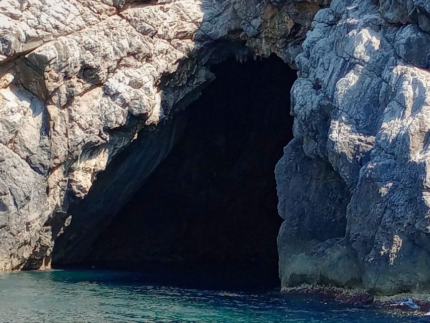 Can Picafort: Dolphin Watching Boat Tour, Swimming stop - Sunrise departures and the best time to go