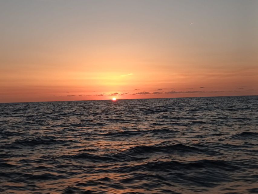 Can Picafort: Dolphin Watching Boat Tour, Swimming stop - Who should book this experience?