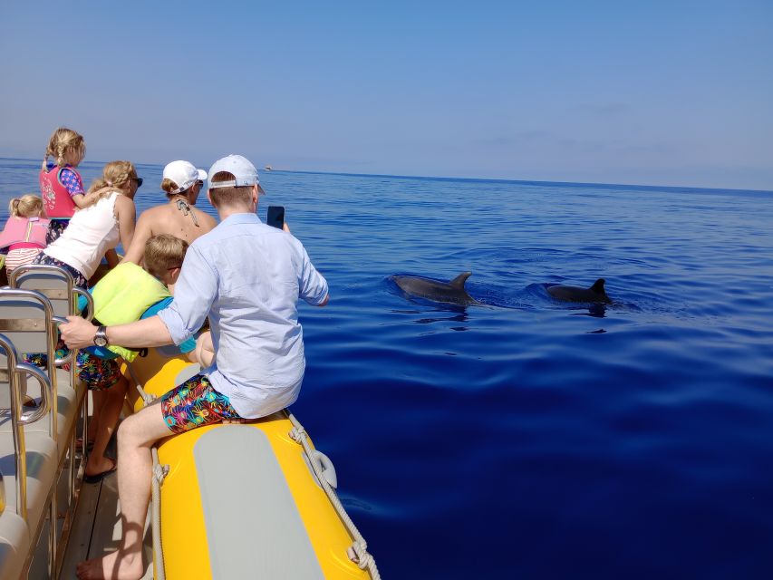Can Picafort: Dolphin Watching Boat Tour, Swimming stop - Leaving Can Picafort in a fast boat