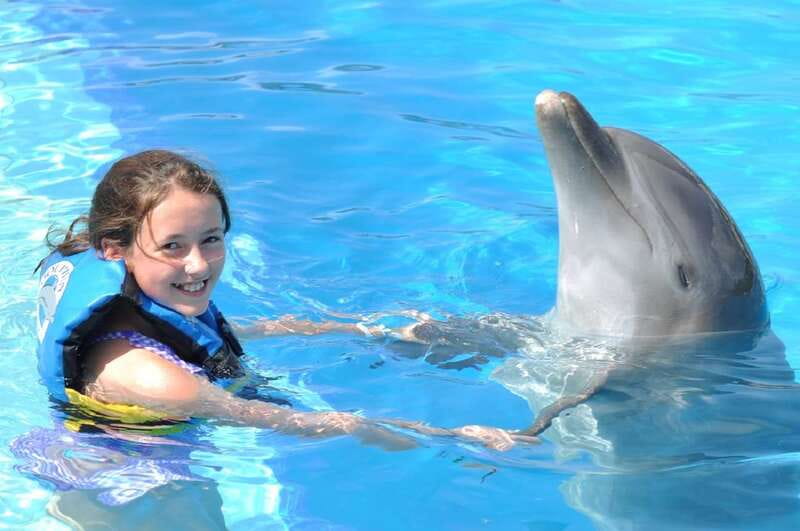 Cancún: Dolphin Encounter on Isla Mujeres with Buffet - Key points to know before booking