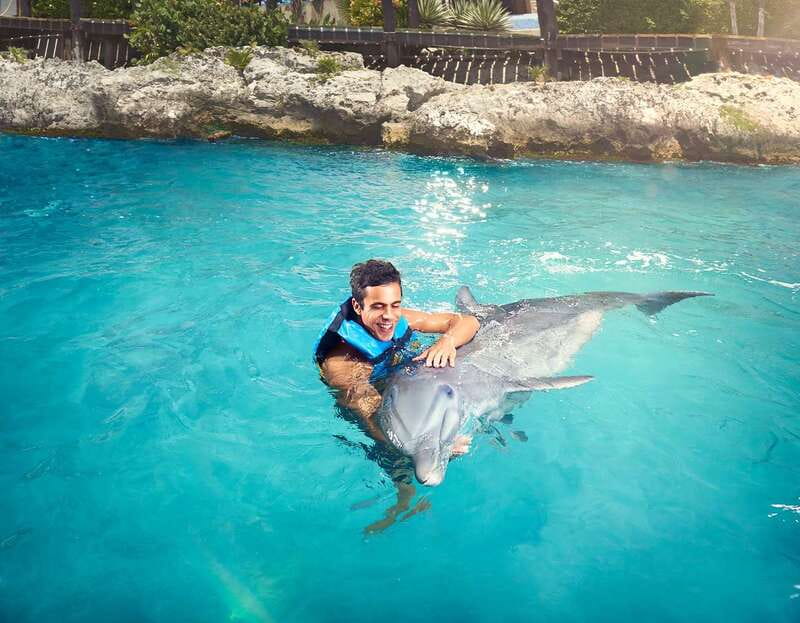 Cancún: Dolphin Encounter on Isla Mujeres with Buffet - From Playa Langosta to Isla Mujeres