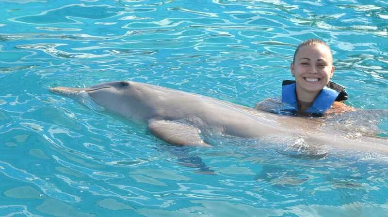 Cancún: Dolphin Encounter on Isla Mujeres with Buffet - Who will get the best value from the $95 price?