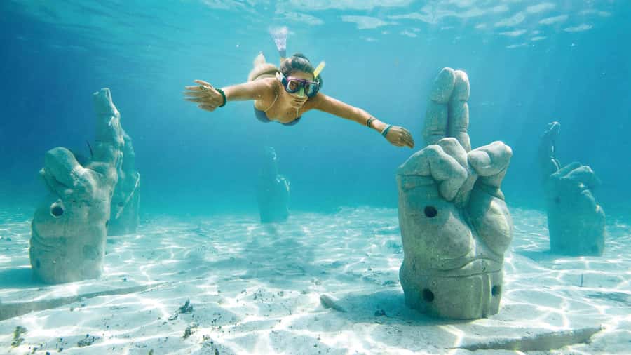 CANCUN: Dolphin Swim Adventure with buffet and soft drinks - Key points before you book