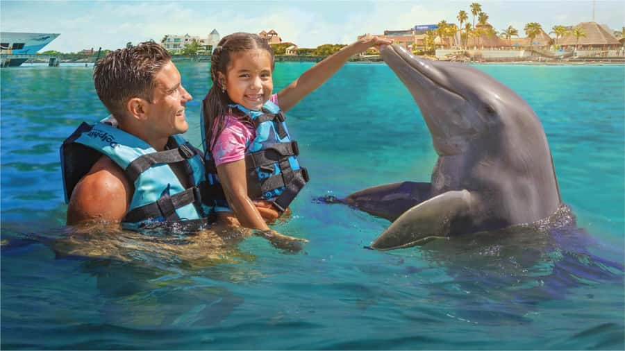 Cancun: Dolphin Swim and Garrafon Reef Park Tour with Buffet - Garrafon Reef Park: more than snorkeling
