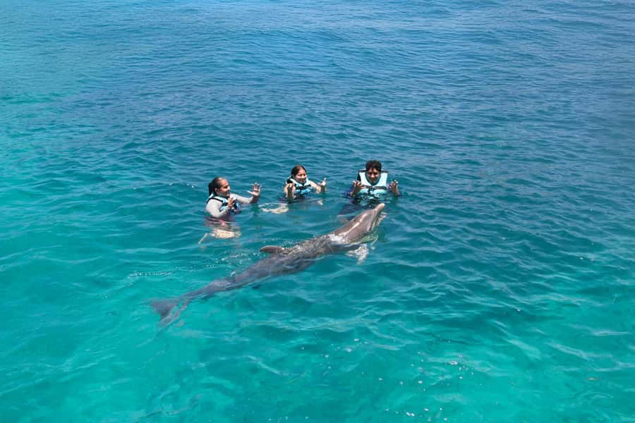 Cancun: Dolphin Swim and Garrafon Reef Park Tour with Buffet - What to pack for a smoother day