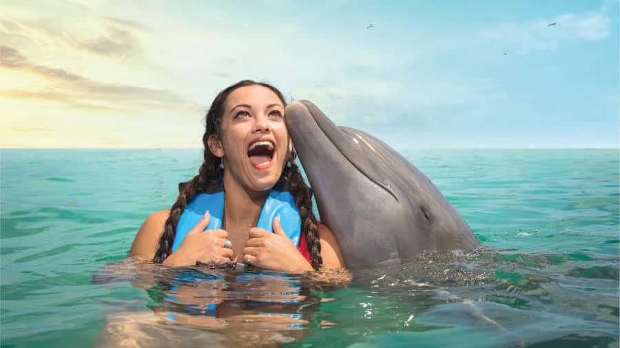 Cancun: Dolphin Swim and Garrafon Reef Park Tour with Buffet - The Dolphin Discovery briefing and water session