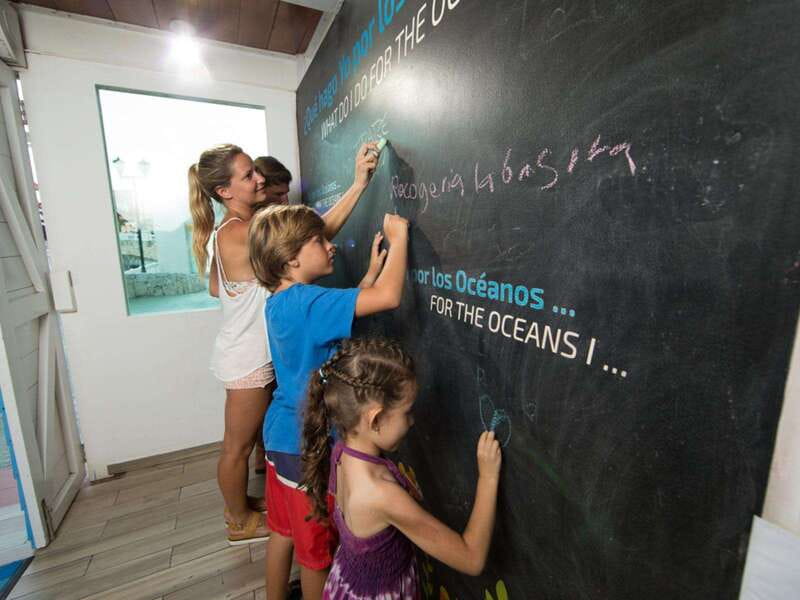 Cancún Interactive Aquarium Admission + Dolphin Presentation - The axolotl exhibit and iPad zone