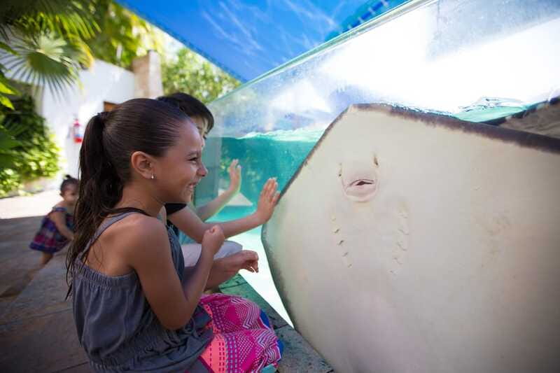 Cancún Interactive Aquarium Admission + Dolphin Presentation - How to plan your day at the aquarium