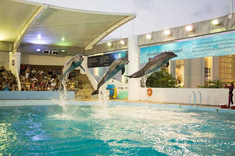 Cancún Interactive Aquarium Admission + Dolphin Presentation - Who will enjoy this experience most