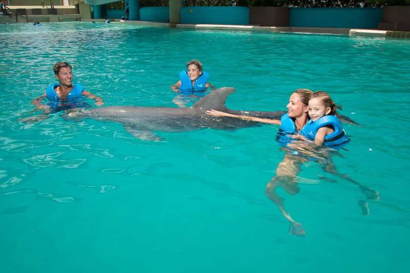 Cancun: Interactive Aquarium - Swim with dolphins Premium - Key points at a glance