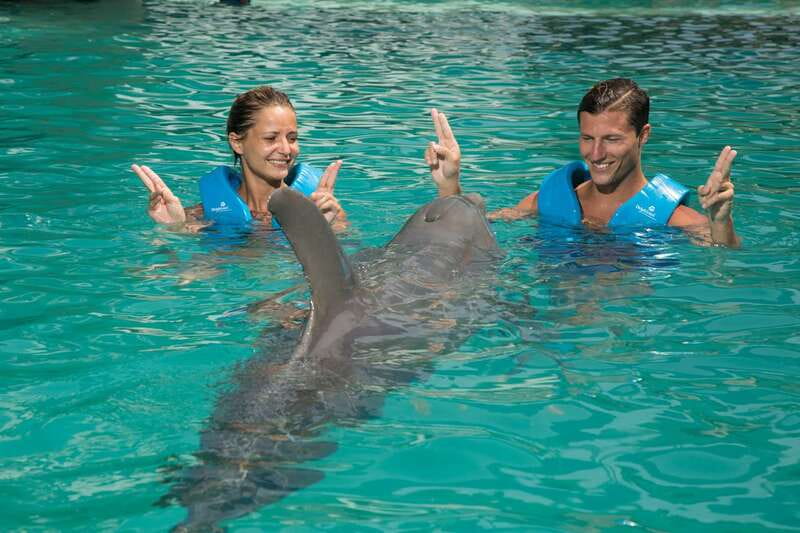 Cancun: Interactive Aquarium - Swim with dolphins Premium - Why non-swimmers can take part