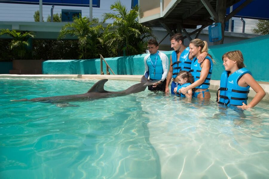 Cancun: Interactive Aquarium - Swim with dolphins Premium - The 20-minute Aquarium Trek