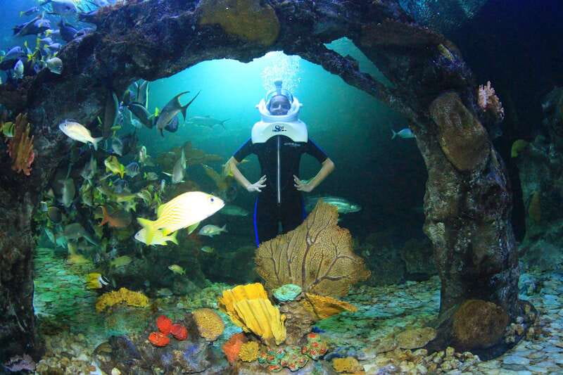 Cancun: Interactive Aquarium - Swim with dolphins Premium - Is $185 per person fair?