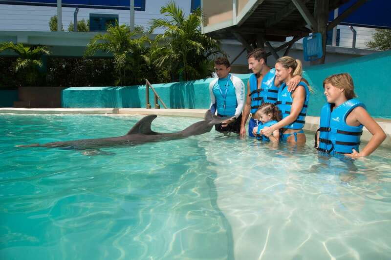 Cancun: Interactive Aquarium - Swim with Dolphins Splash - Arriving at Plaza La Isla in Cancun