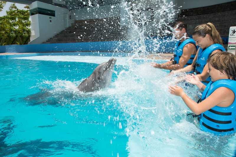 Cancun: Interactive Aquarium - Swim with Dolphins Splash - Staff, safety and the feel of the session