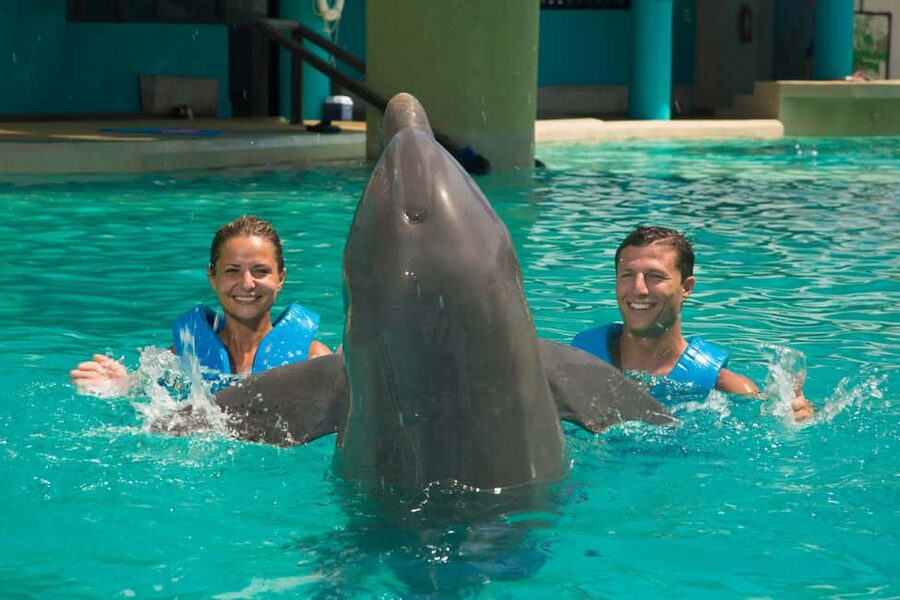 Cancun: Interactive Aquarium Ticket and Swim with Dolphins - Key points before you book