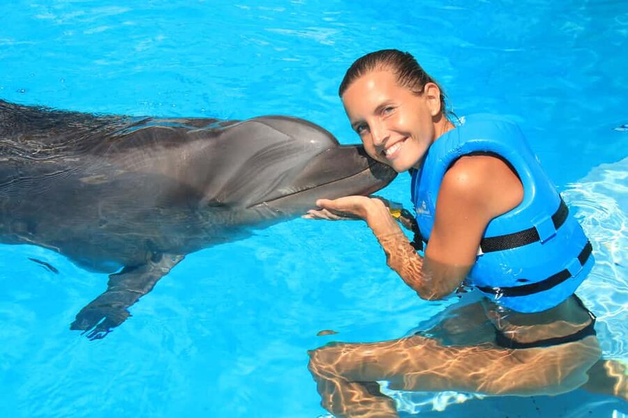 Cancun: Interactive Aquarium Ticket and Swim with Dolphins - What the Cancun dolphin encounter actually includes