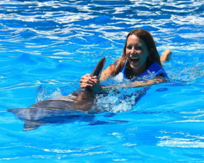 Interactive Aquarium Ticket and Swim with Dolphins