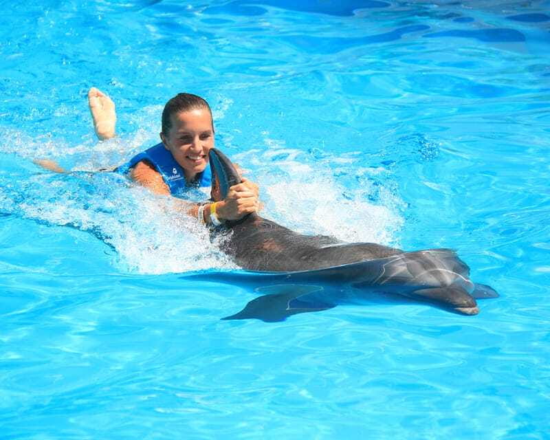 Cancun: Interactive Aquarium Ticket and Swim with Dolphins - The photo policy is the biggest practical warning