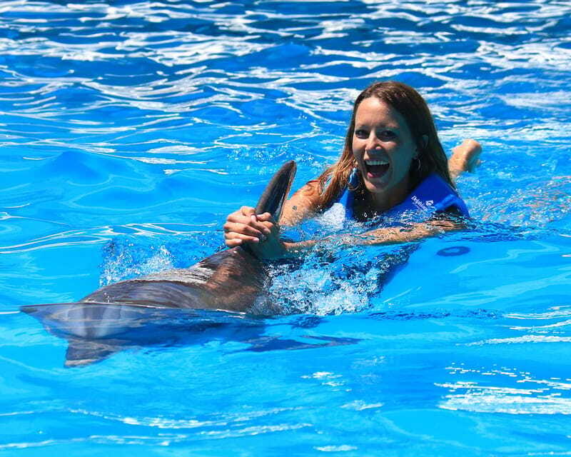 Cancun: Interactive Aquarium Ticket and Swim with Dolphins - What is included, and what is not