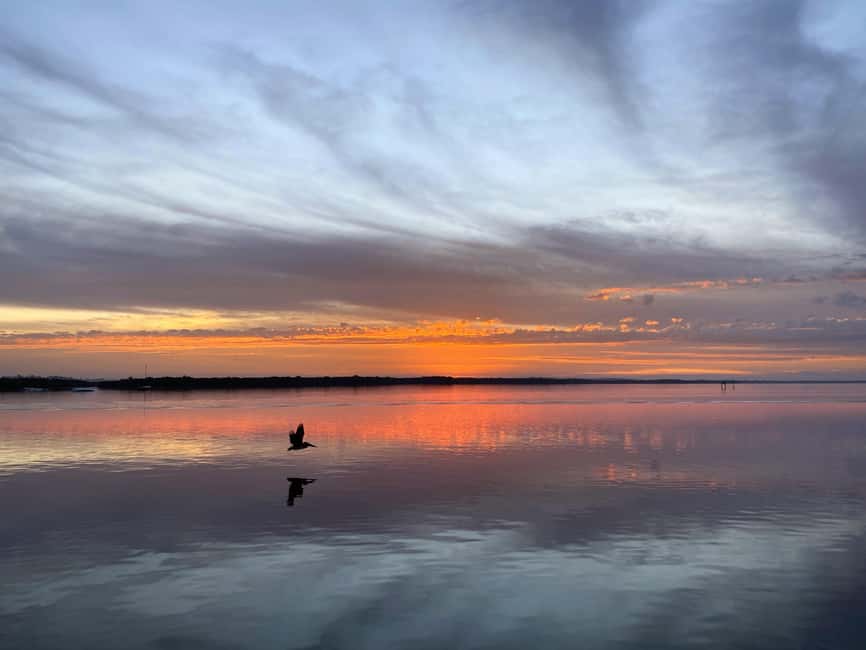 Cape Coral: Private Dolphin and Sunset Cruise - What to bring for a comfortable three hours