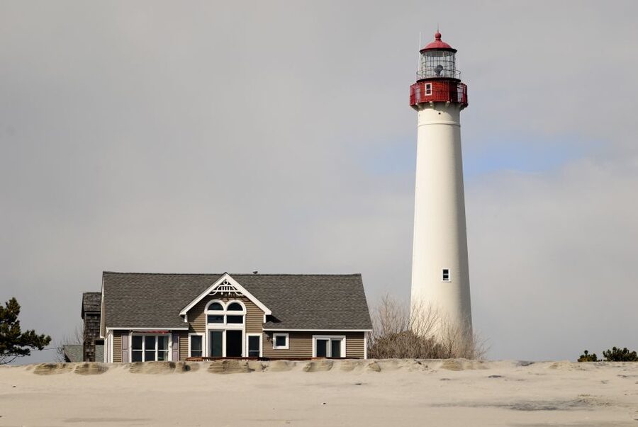 Cape May: 2-Hour Dolphin Watching Cruise - Key points at a glance