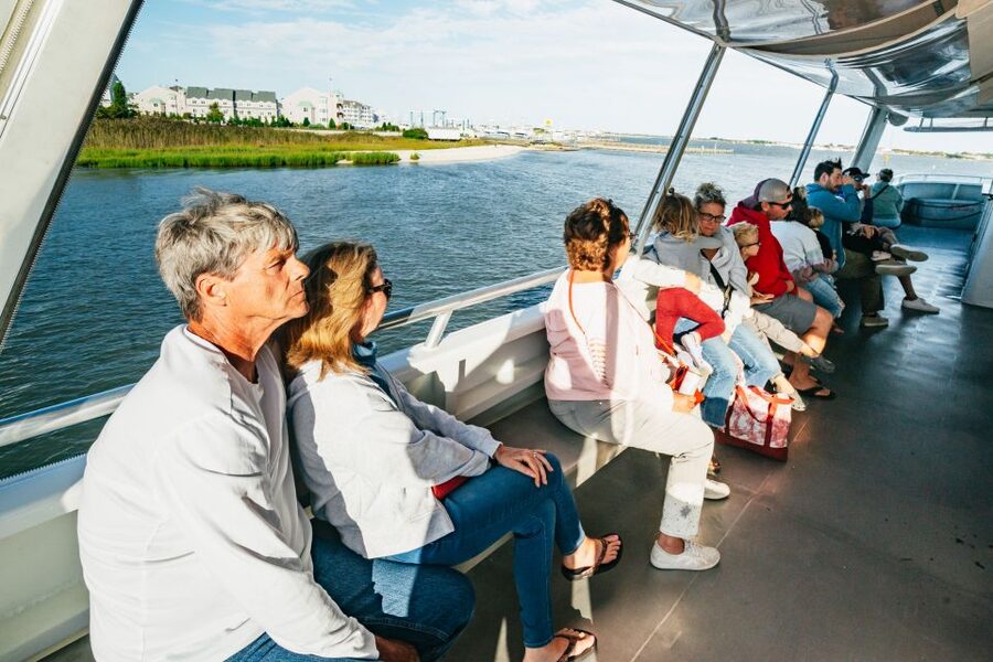 Cape May: Cape May Island Sunset Cruise & Dolphin Watching - Is $40 a Good Deal?