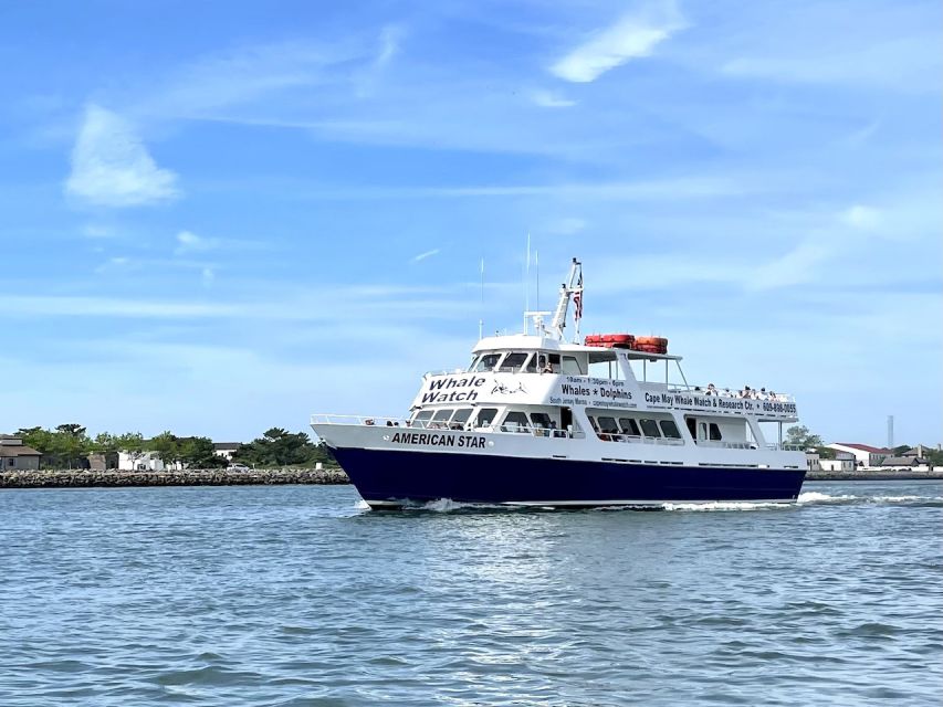 Cape May: Dolphin and Bird Watching Cruise - Rougher water and comfort on board