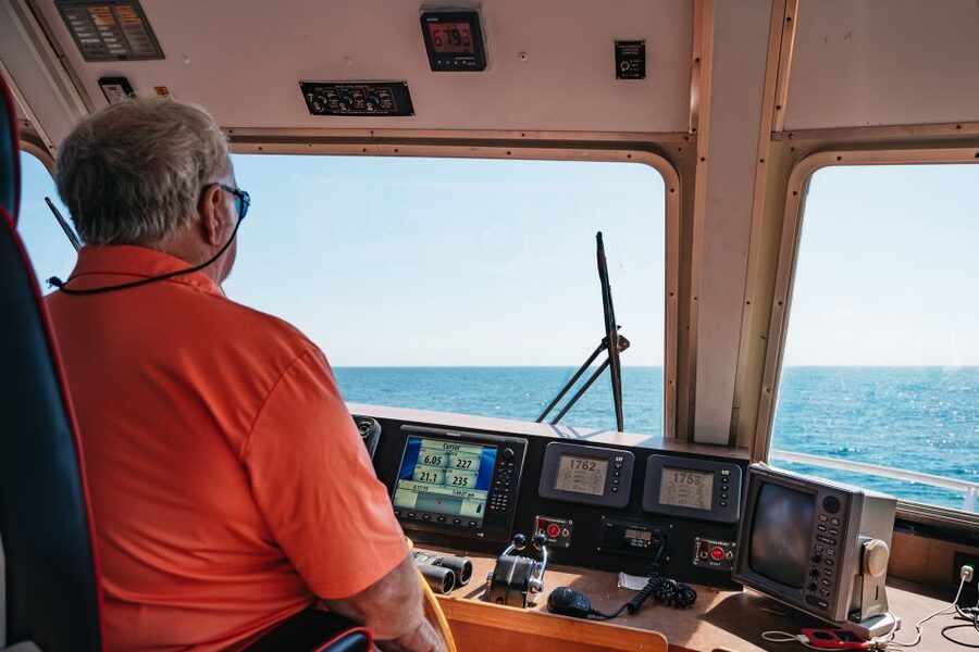 Cape May: Jersey Shore Whale and Dolphin Watching Cruise - What you may see beside the boat