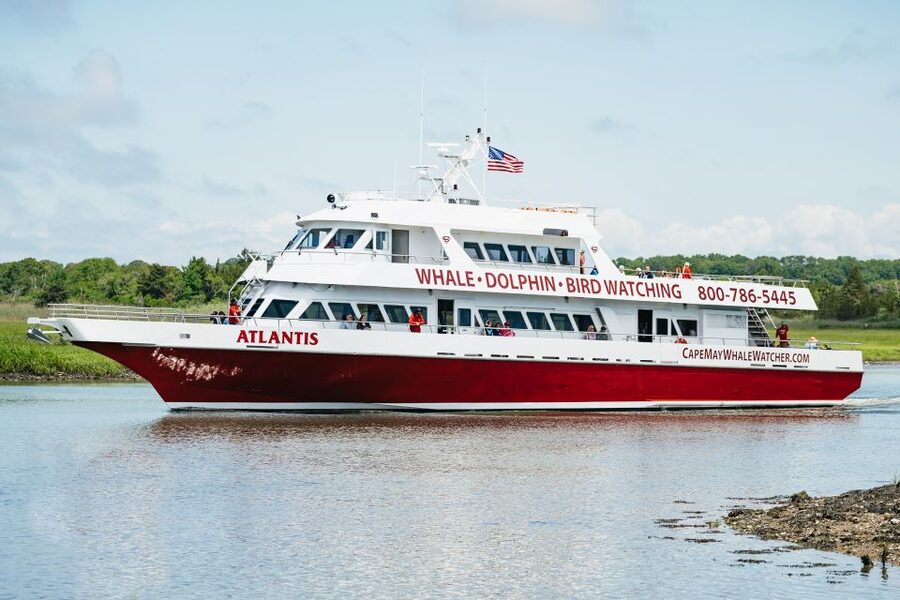 Cape May: Jersey Shore Whale and Dolphin Watching Cruise - Who will enjoy this cruise most?
