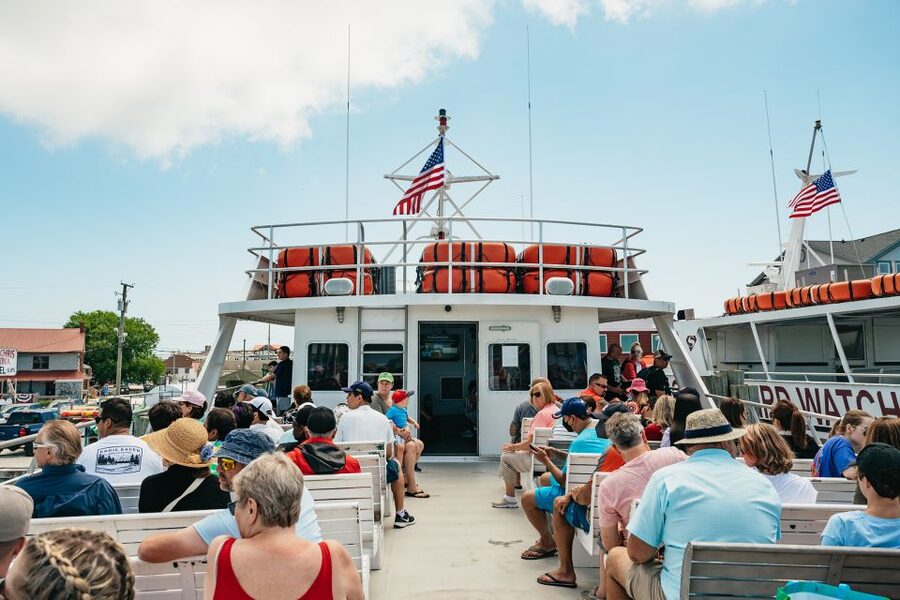 Cape May: Jersey Shore Whale and Dolphin Watching Cruise - Practical planning for a better day