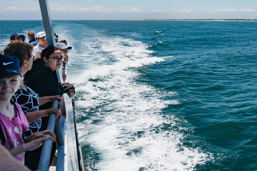 Cape May: Jersey Shore Whale and Dolphin Watching Cruise - Should you book the Cape May whale cruise?