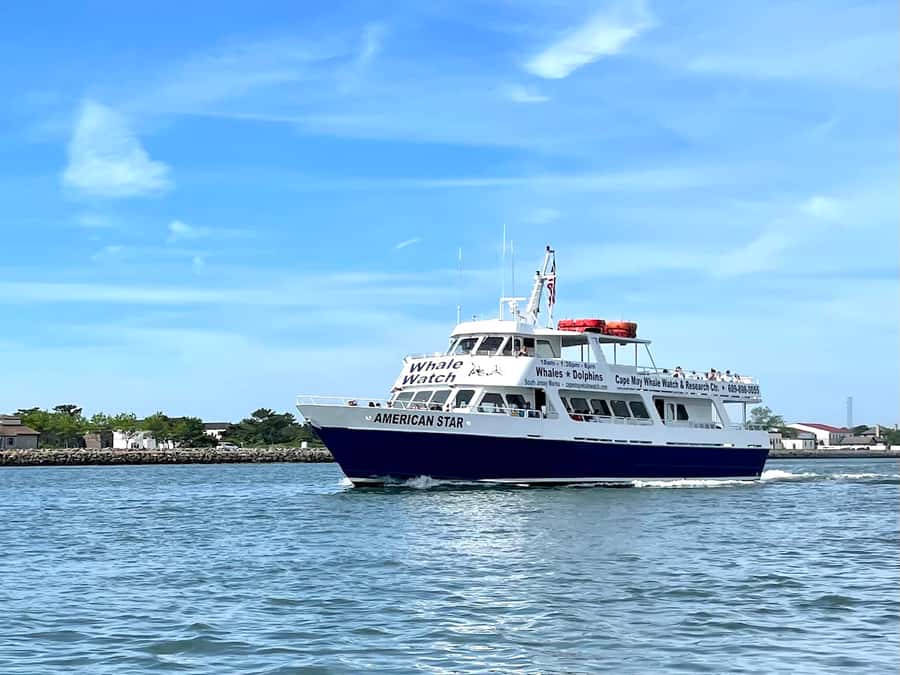Cape May: Scenic Whale and Dolphin Watching Cruise - Searching for Cape May’s bottlenose dolphins