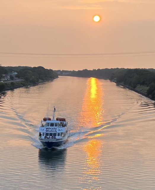 Cape May: Sunset Dolphin Watching Cruise with Food - Finding Atlantic bottlenose dolphins