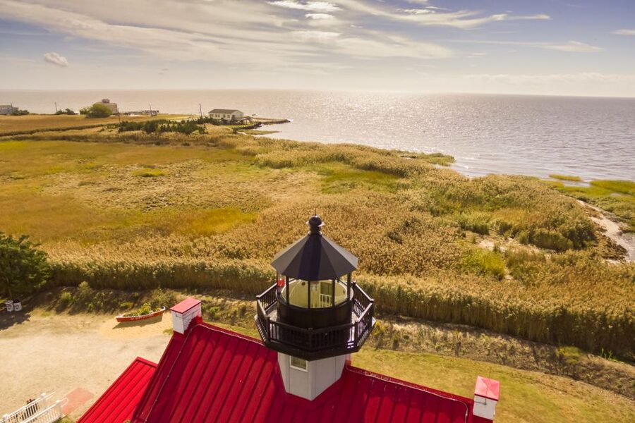 Cape May: Weekend Whale and Dolphin Watching Cruise - Key points to know before boarding