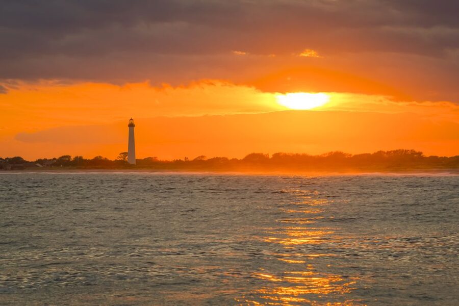 Cape May: Weekend Whale and Dolphin Watching Cruise - Starting the morning at Miss Chris Marina