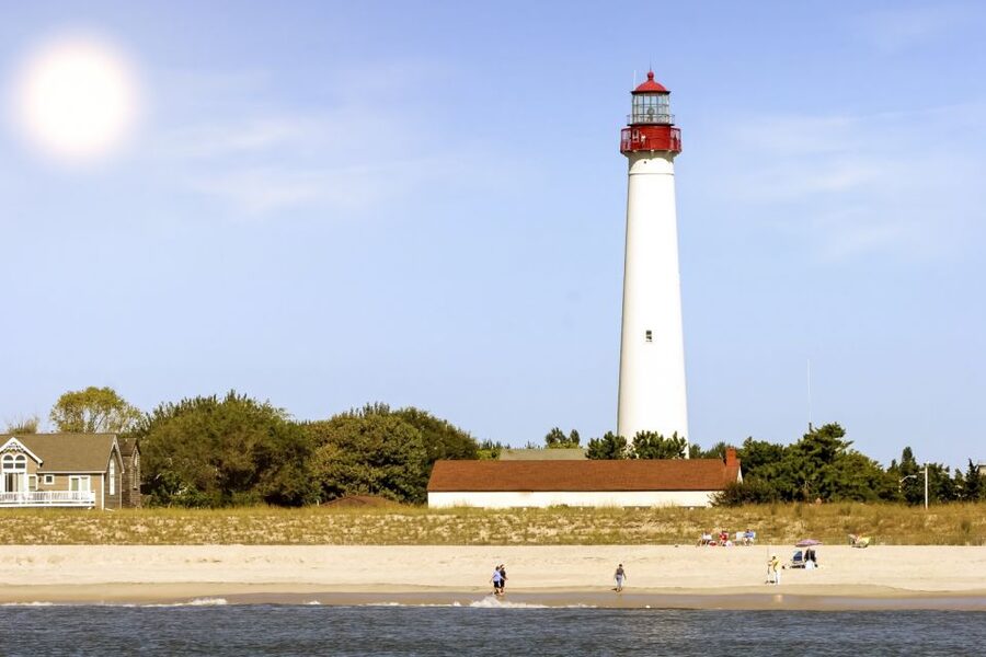 Cape May: Weekend Whale and Dolphin Watching Cruise - Price, value, and what you really pay for