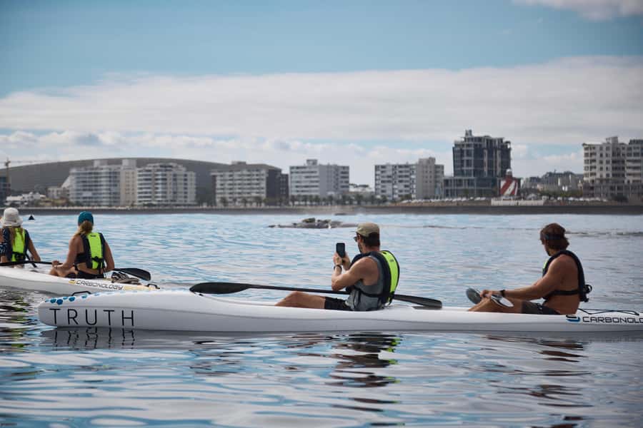 Cape Town: Dolphin & Ocean Wildlife Kayaking Adventure ⚓️ - Is $37 good value for two hours?