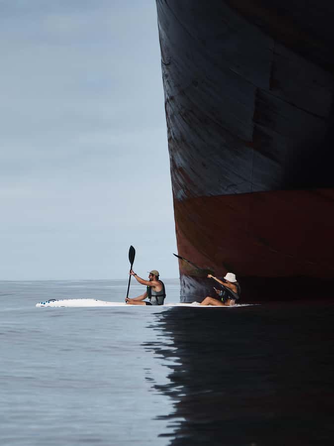 Cape Town: Dolphin & Ocean Wildlife Kayaking Adventure ⚓️ - Who should book this kayaking trip?