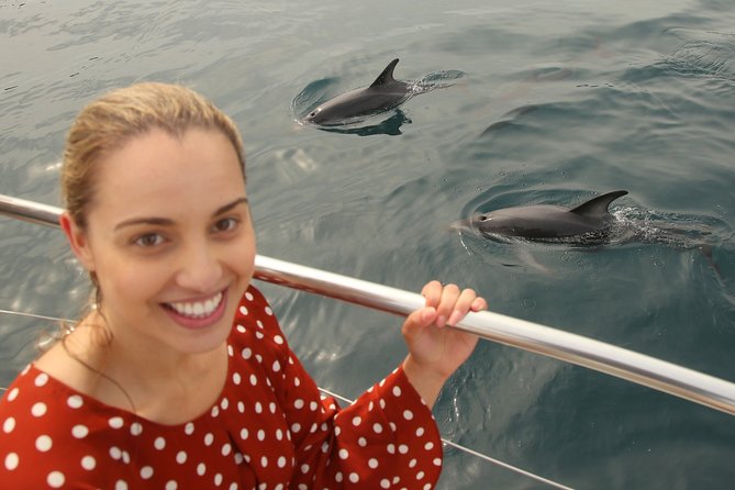 Captain Cook and Dolphin Cruise - The boat, seating, and comfort