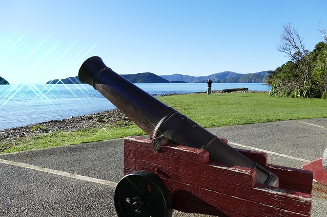 Captain Cook and Dolphin Cruise - Why the $104.26 price can be worthwhile