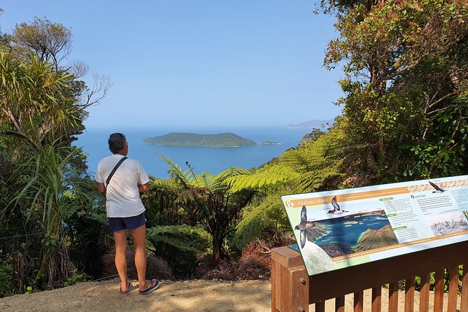 Captain Cook and Dolphin Cruise - Who will enjoy this four-hour outing