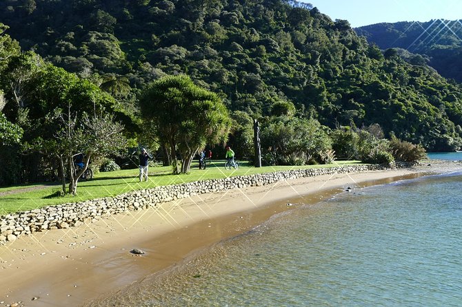 Captain Cook and Dolphin Cruise - Timing, cancellation, and simple planning tips